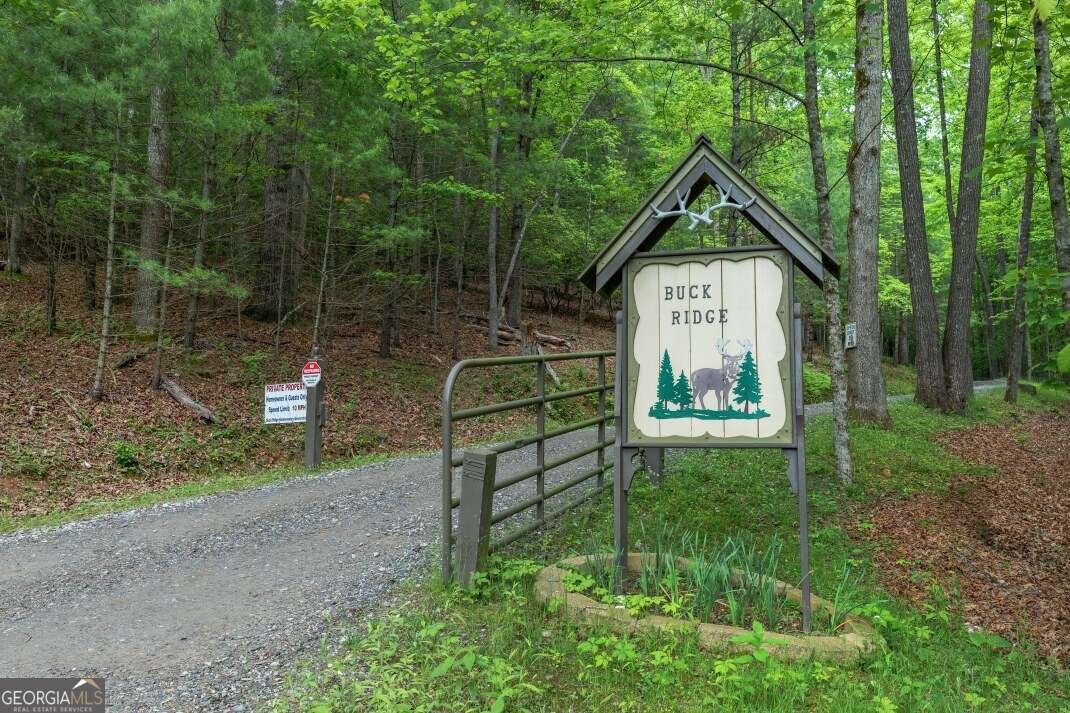 318 Buck Ridge Road Suches - 24