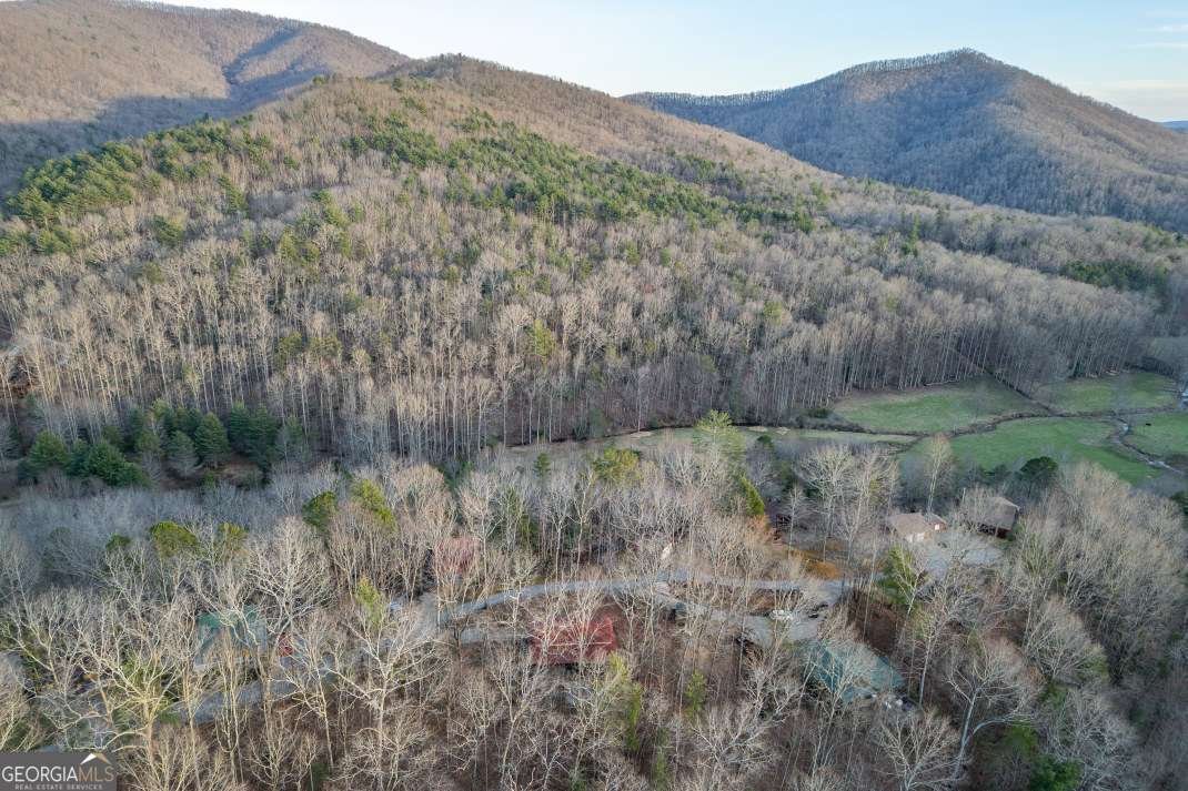 318 Buck Ridge Road Suches - 35