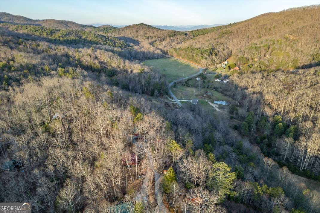 318 Buck Ridge Road Suches - 36