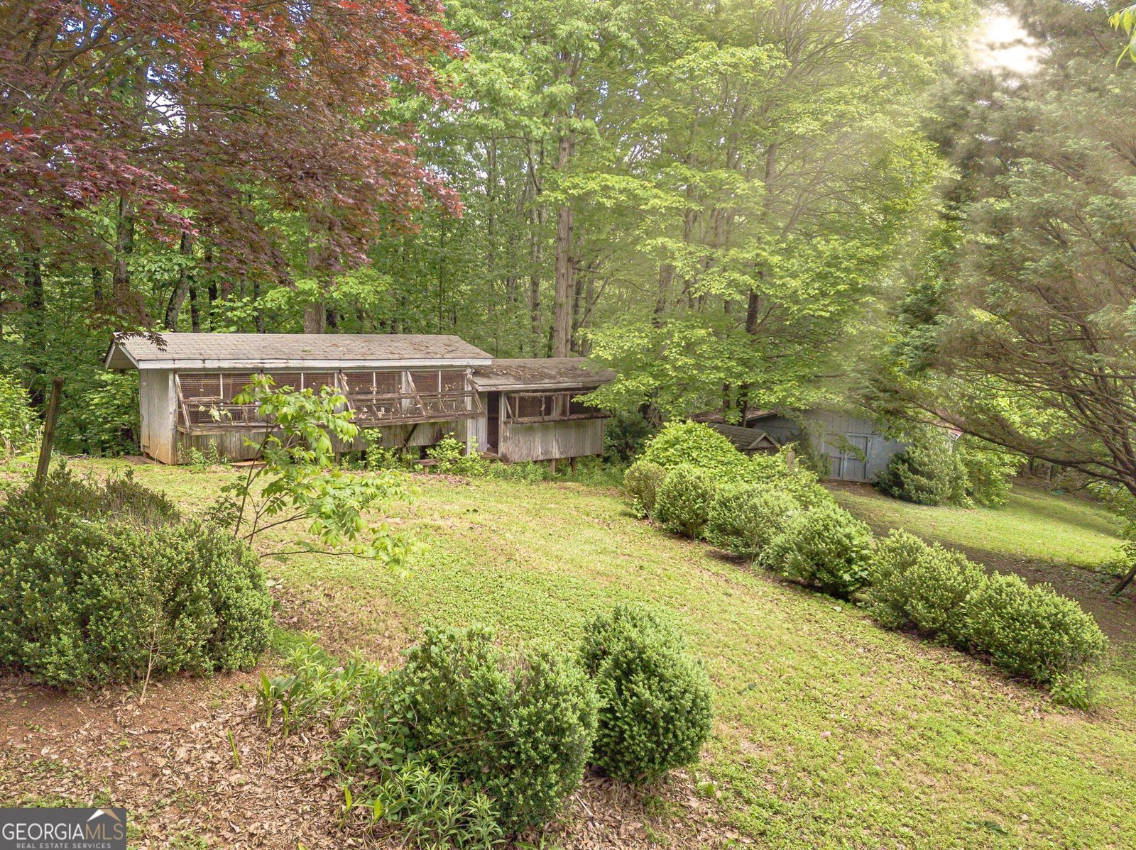6926 Whelchel Circle Clermont - 8