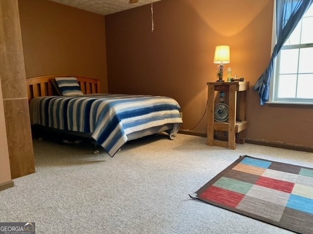 924 Polk Road Moreland - 10