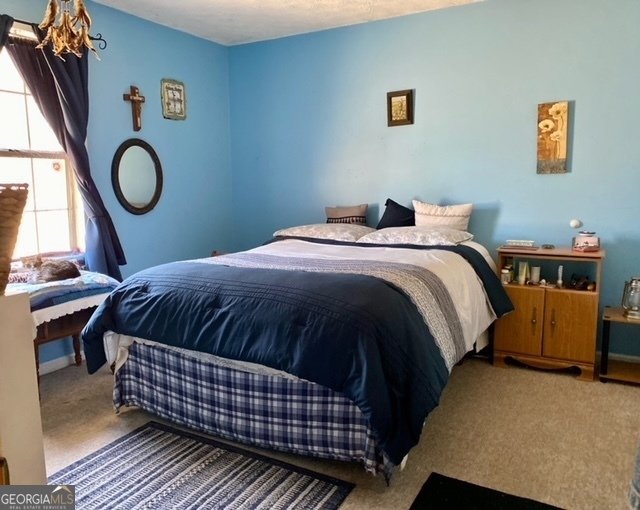 924 Polk Road Moreland - 12