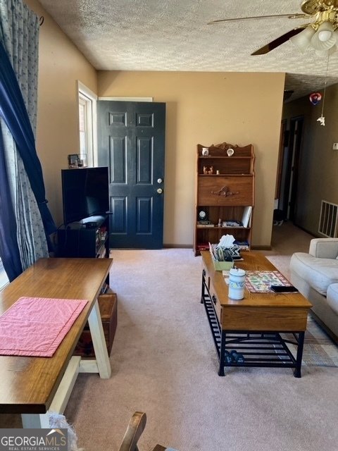 924 Polk Road Moreland - 9