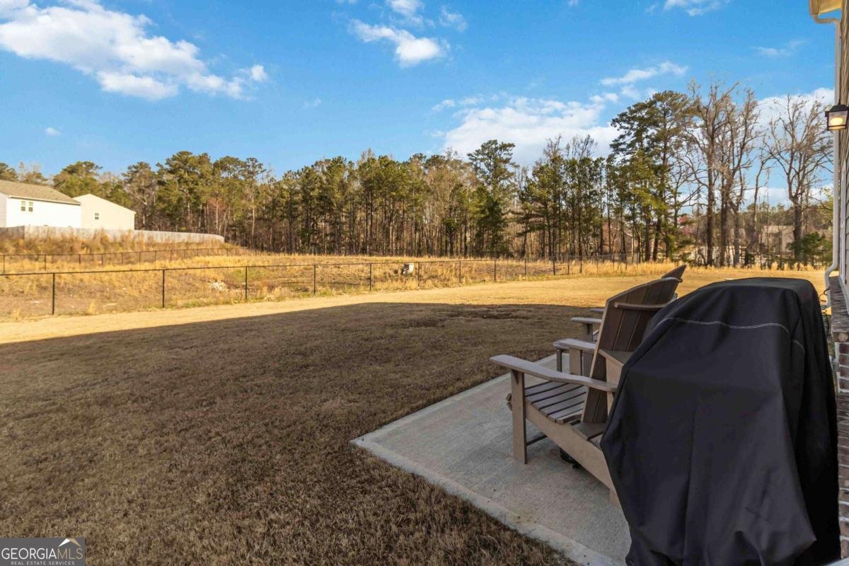 891 Feldman Chase Loganville - 30