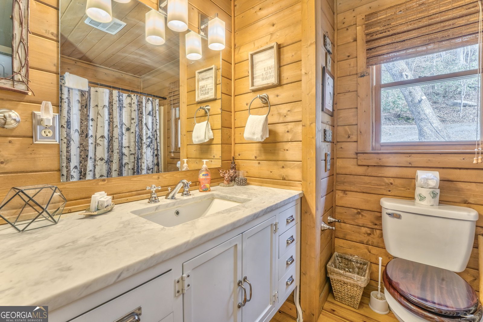 419 Echo Lane Ellijay - 24