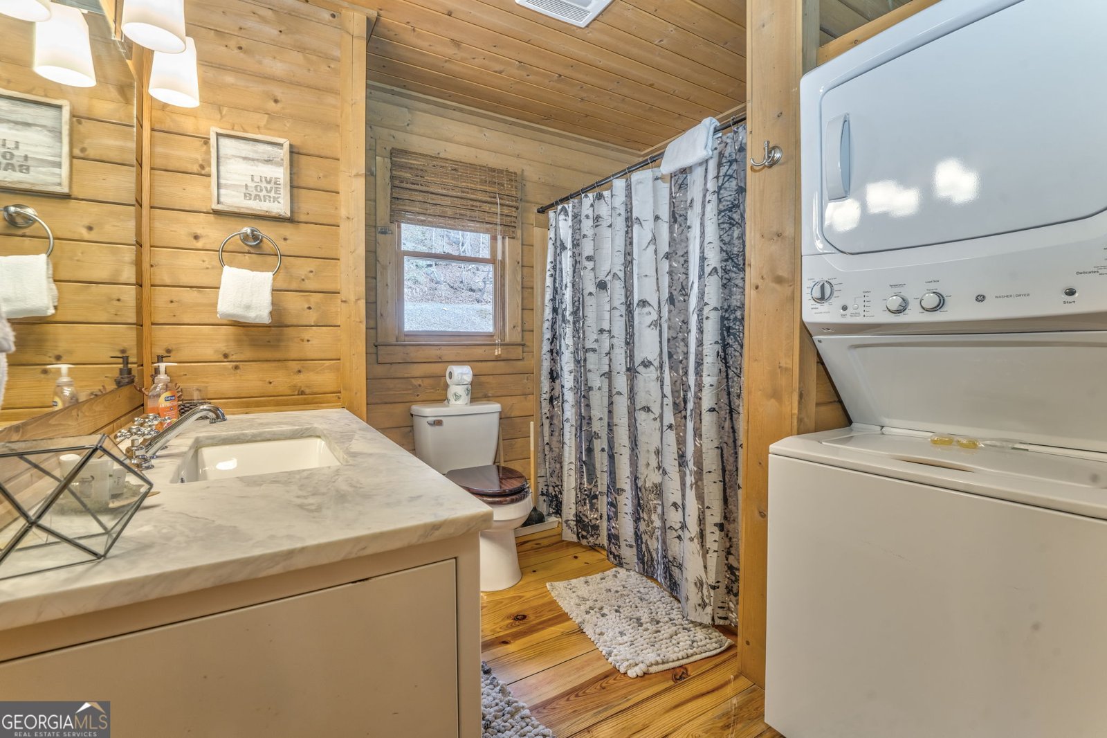 419 Echo Lane Ellijay - 25