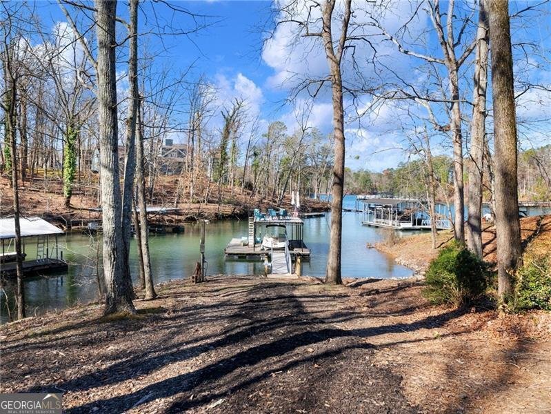 6041 Blackberry Lane Buford - 62