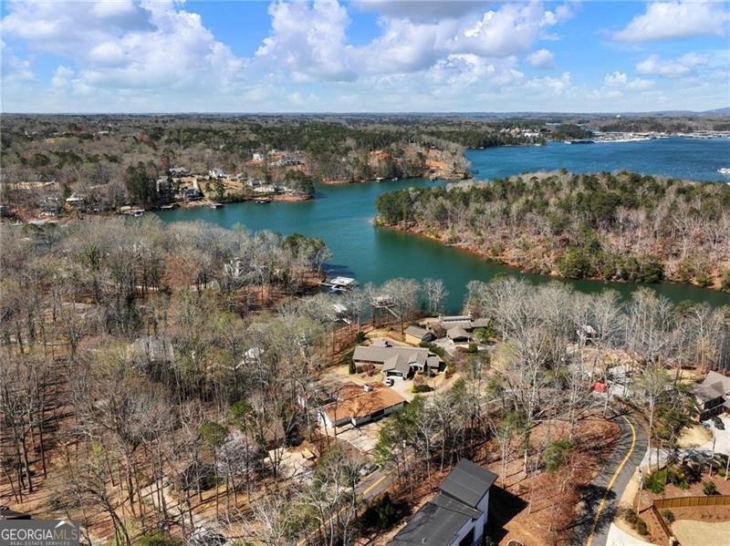 6041 Blackberry Lane Buford - 68