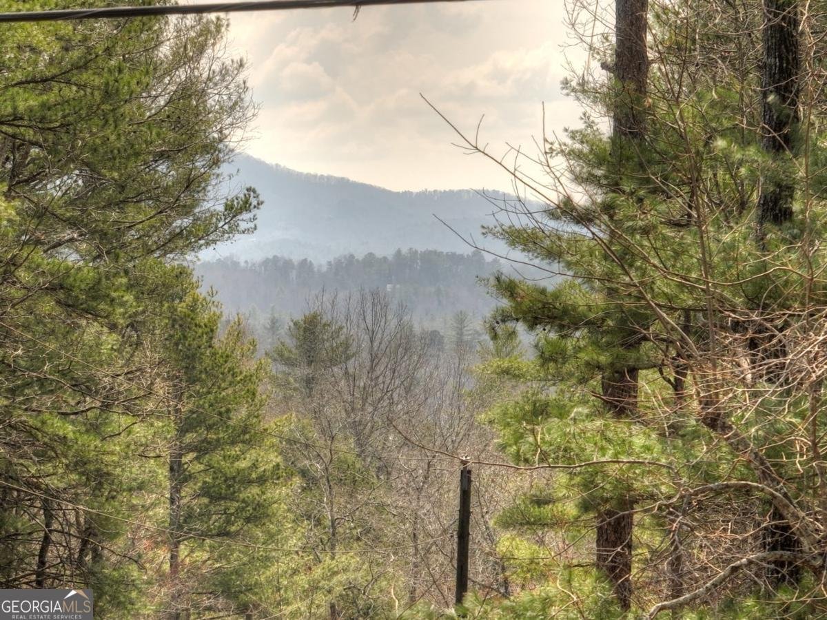65 Weoka Court Ellijay - 4