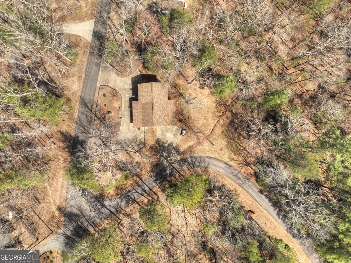 65 Weoka Court Ellijay - 42
