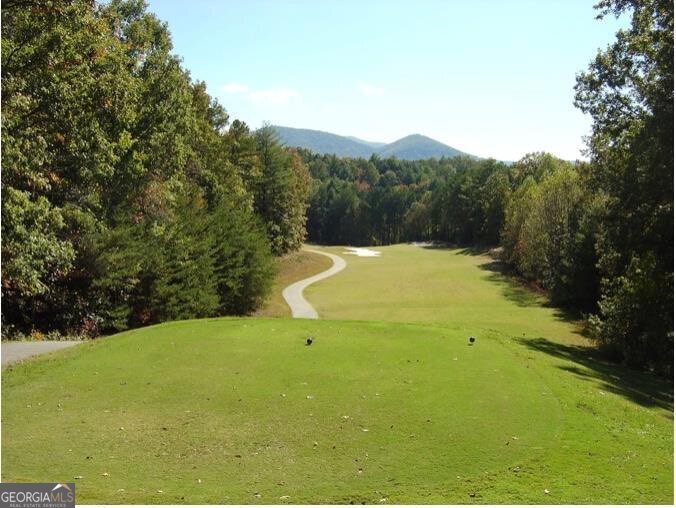 65 Weoka Court Ellijay - 70