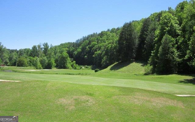 65 Weoka Court Ellijay - 71