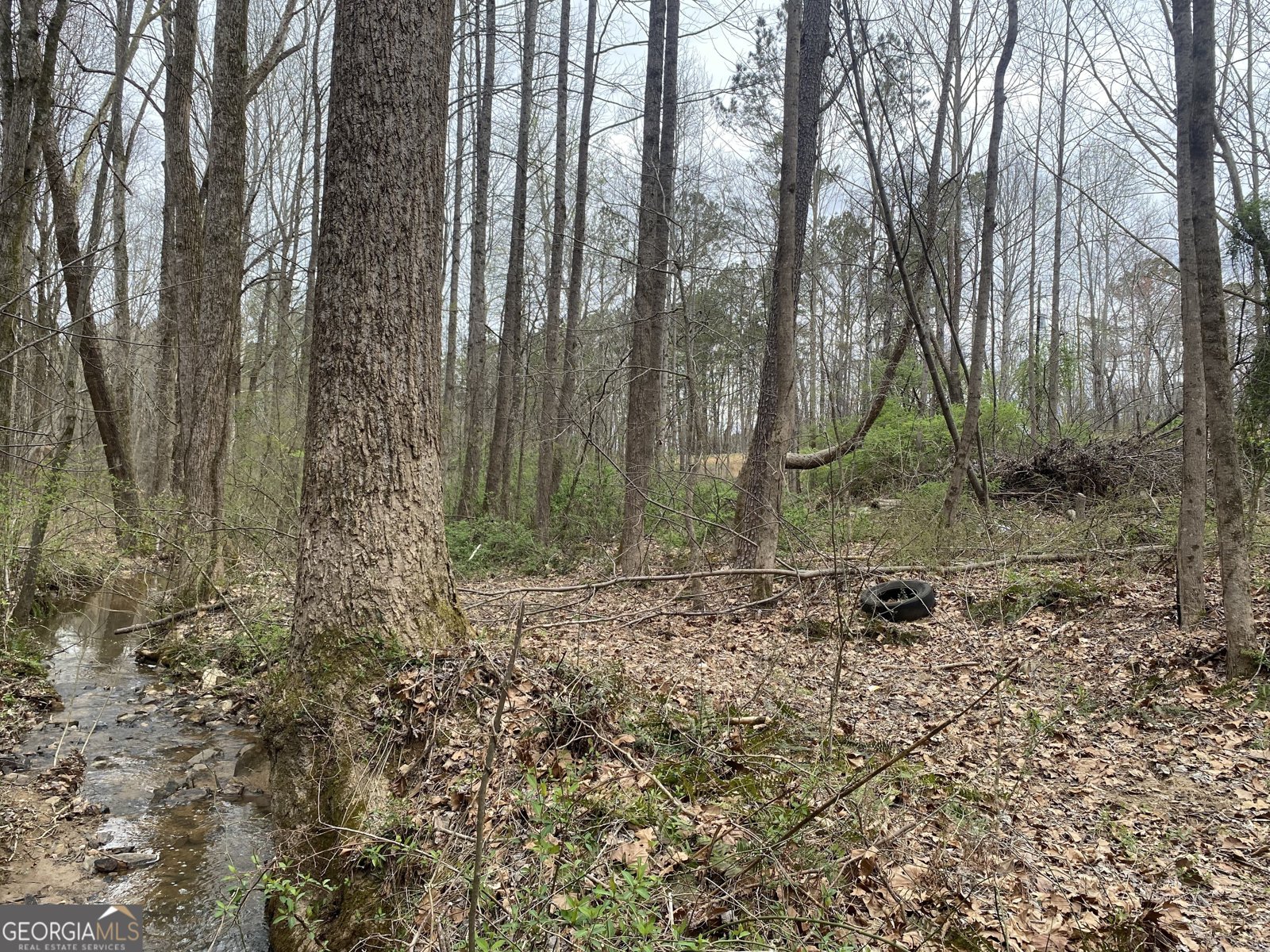247 Tatum Road Talking Rock - 12