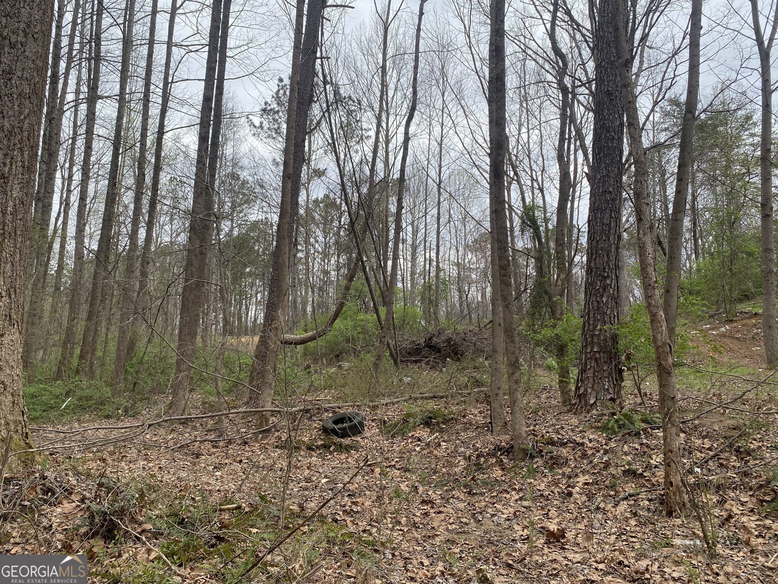 247 Tatum Road Talking Rock - 13