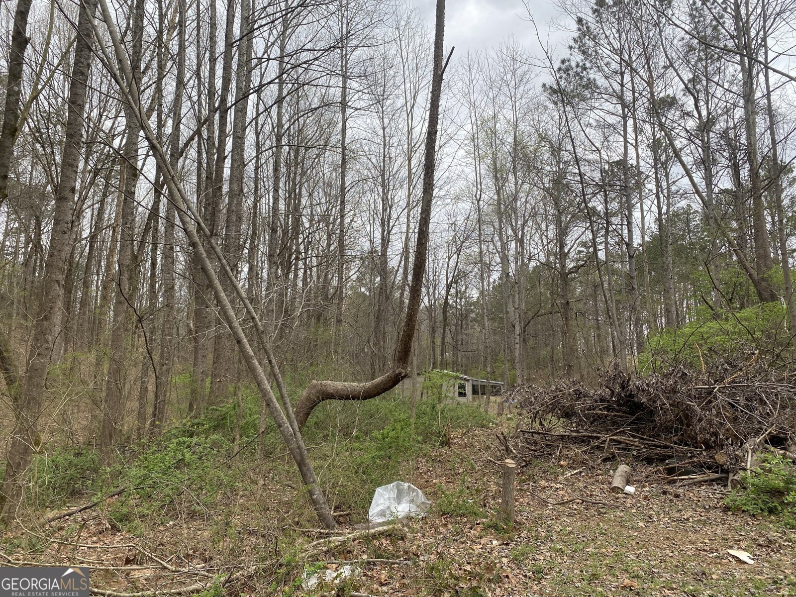 247 Tatum Road Talking Rock - 14