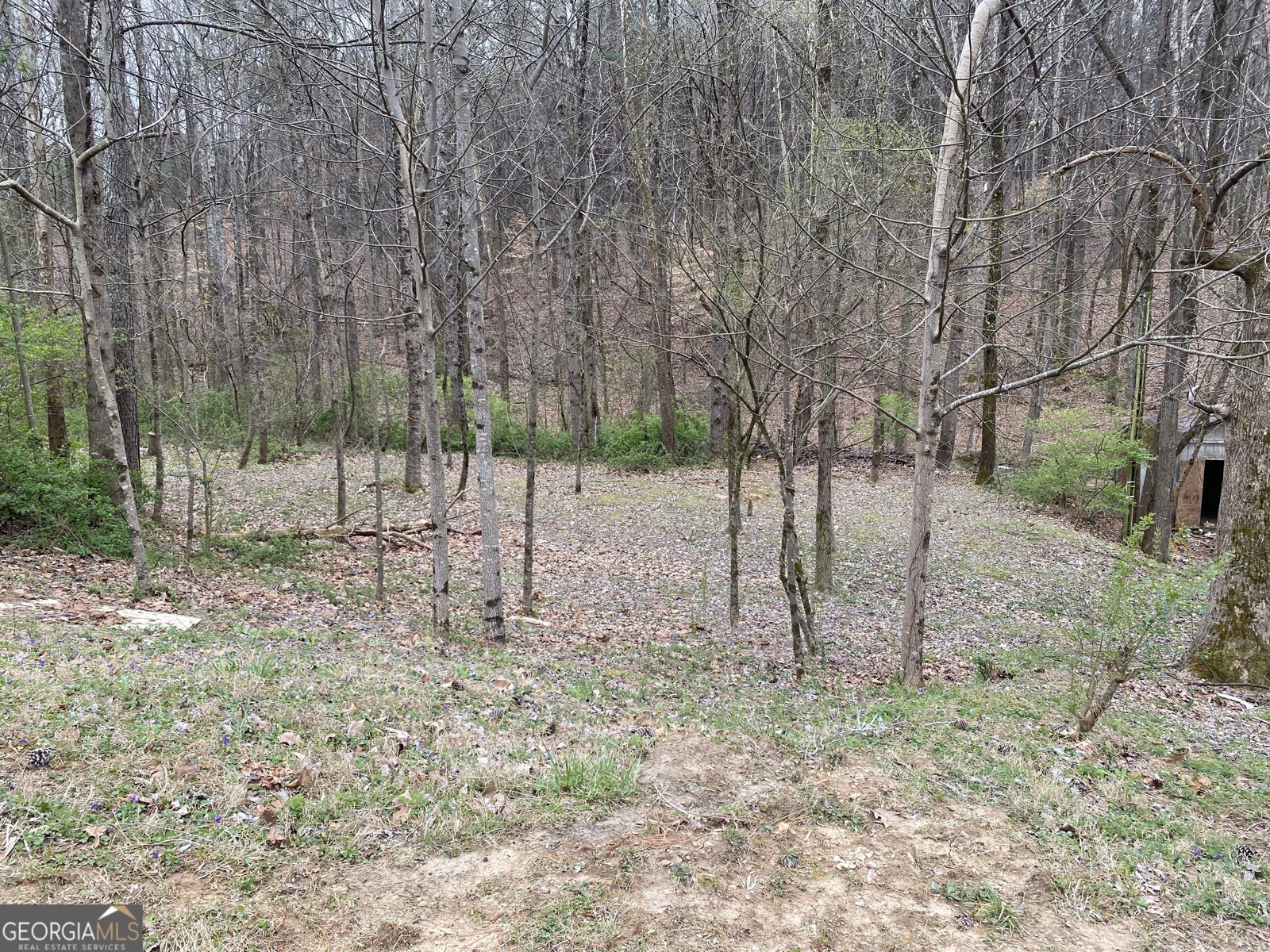 247 Tatum Road Talking Rock - 2