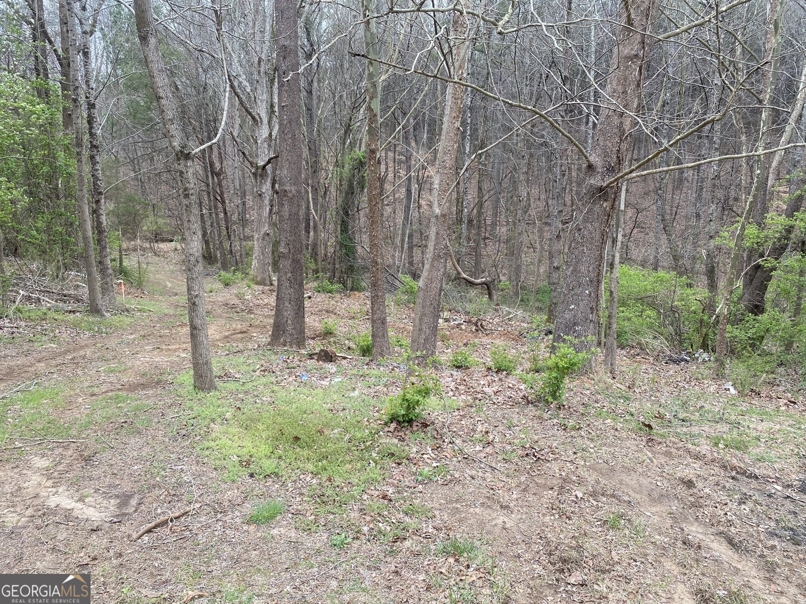 247 Tatum Road Talking Rock - 6