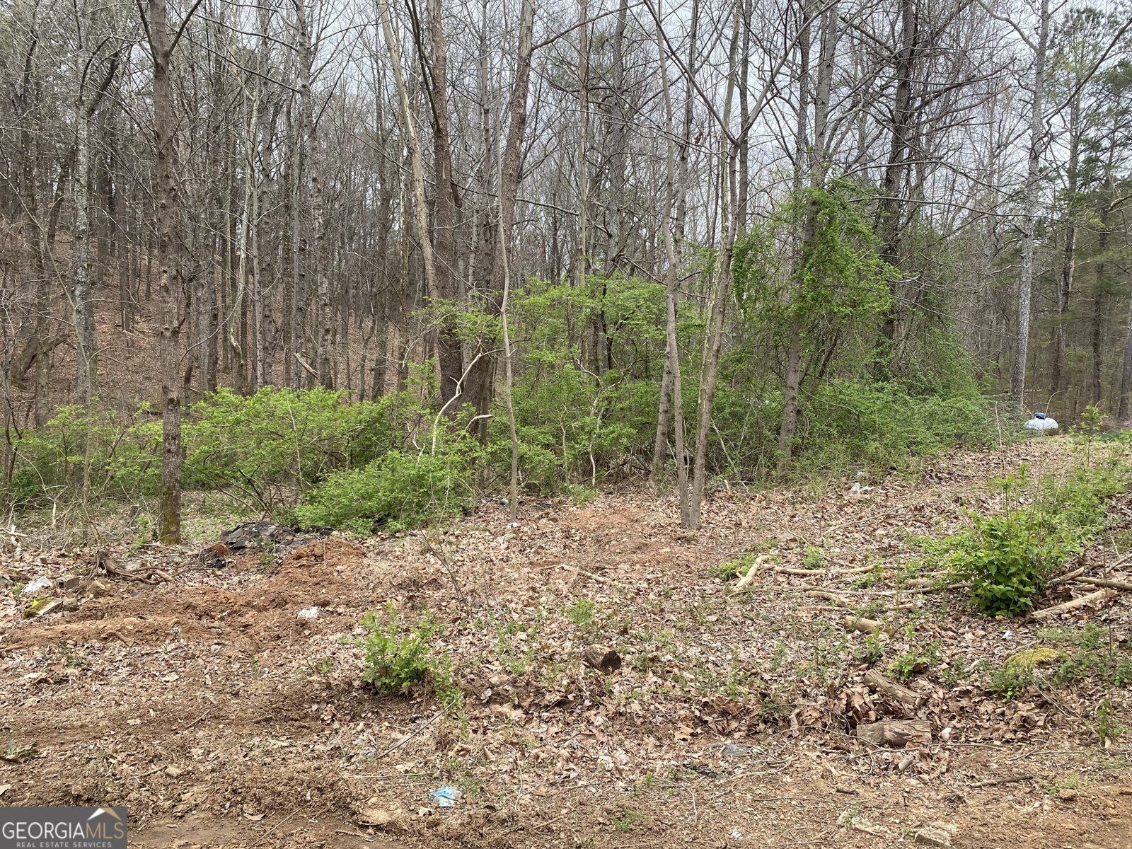 247 Tatum Road Talking Rock - 7