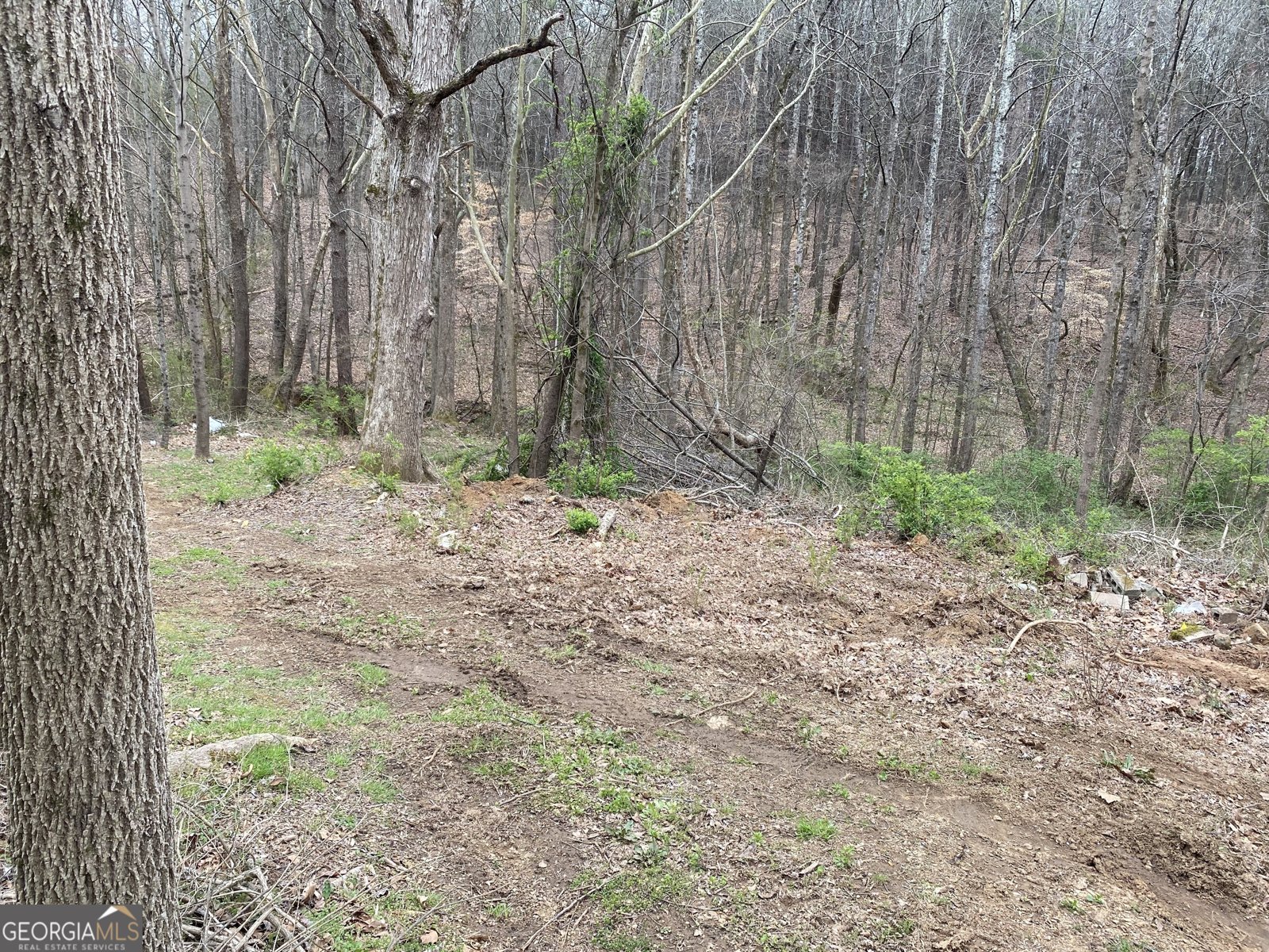 247 Tatum Road Talking Rock - 8