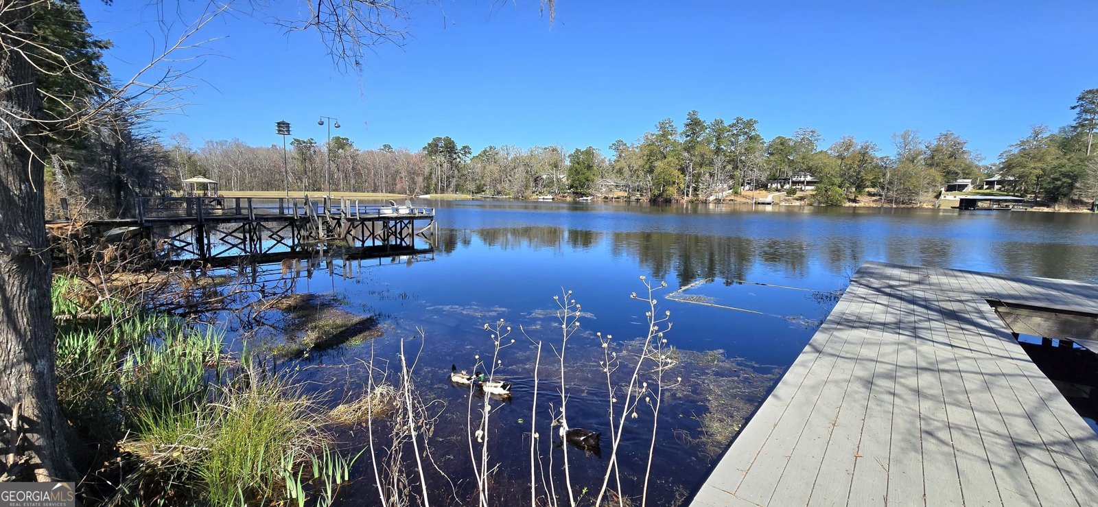 725 Blue Gill Road Ellabell - 7