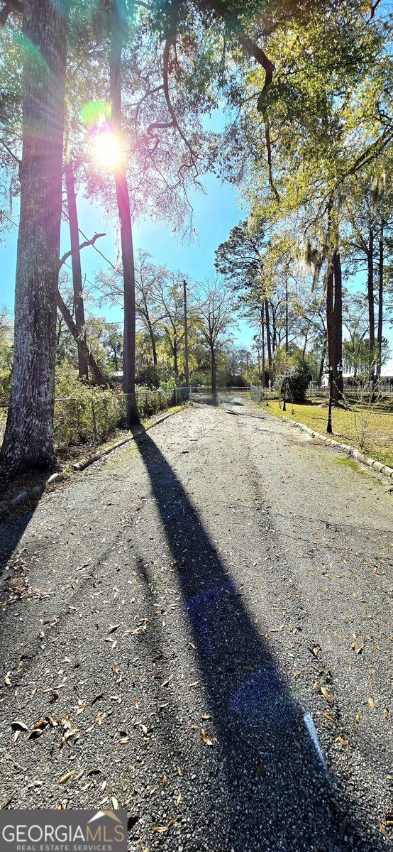725 Blue Gill Road Ellabell - 92