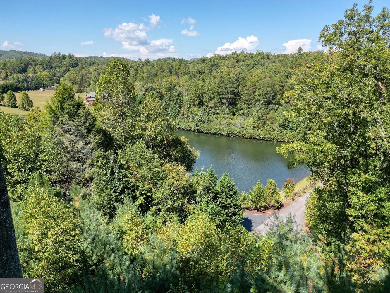 221 Green Valley Trail Mineral Bluff - 3