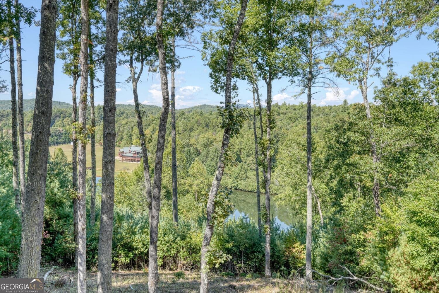 221 Green Valley Trail Mineral Bluff - 51