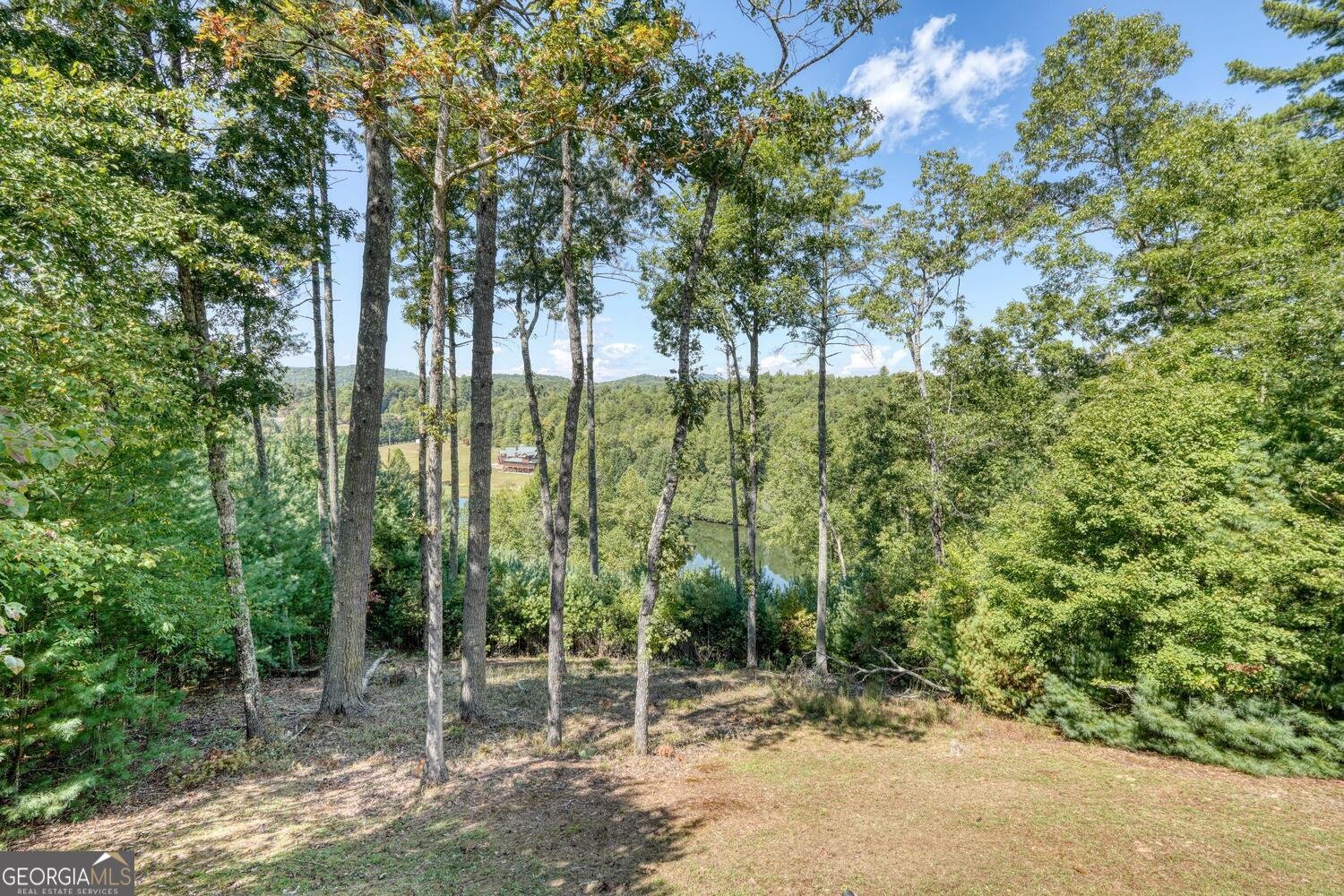 221 Green Valley Trail Mineral Bluff - 52