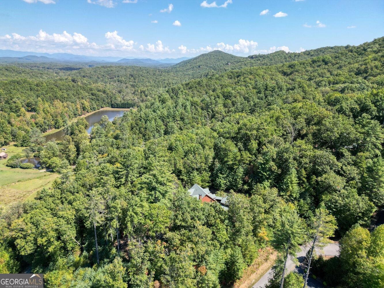 221 Green Valley Trail Mineral Bluff - 57