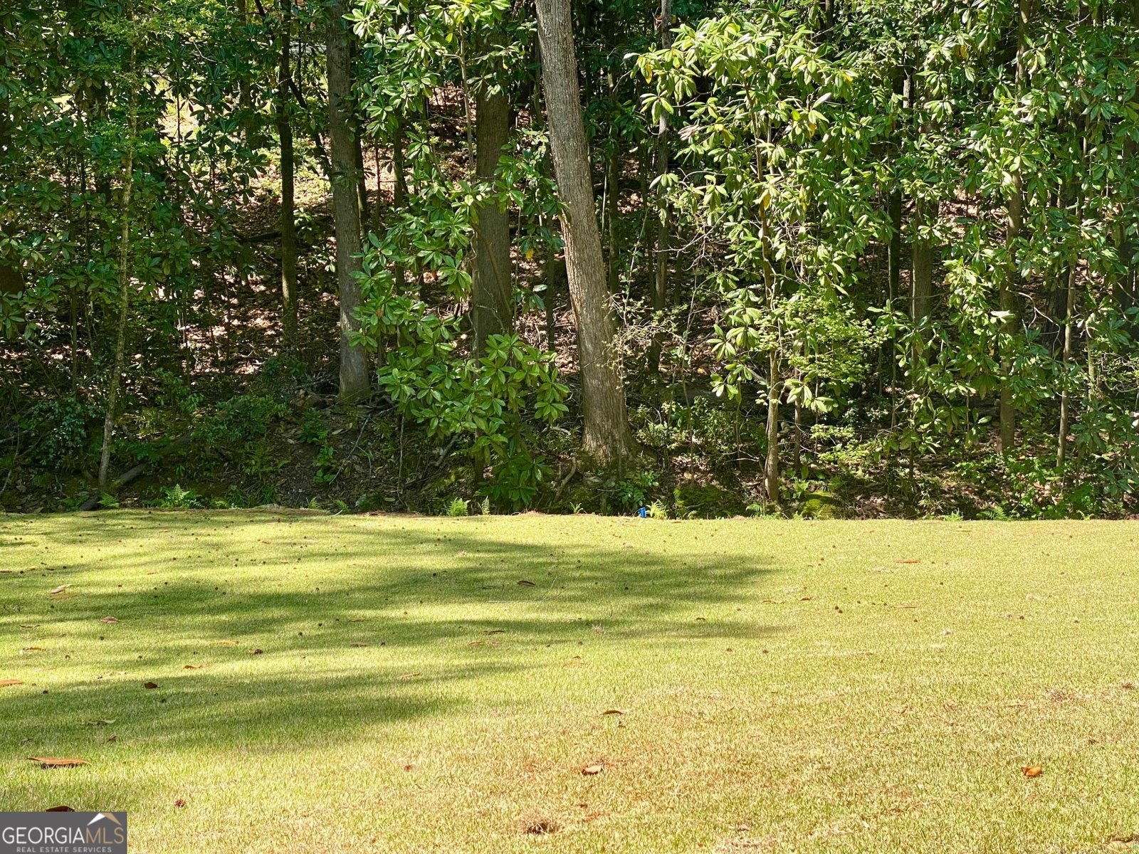 7 FONTAINE Drive Newnan - 56