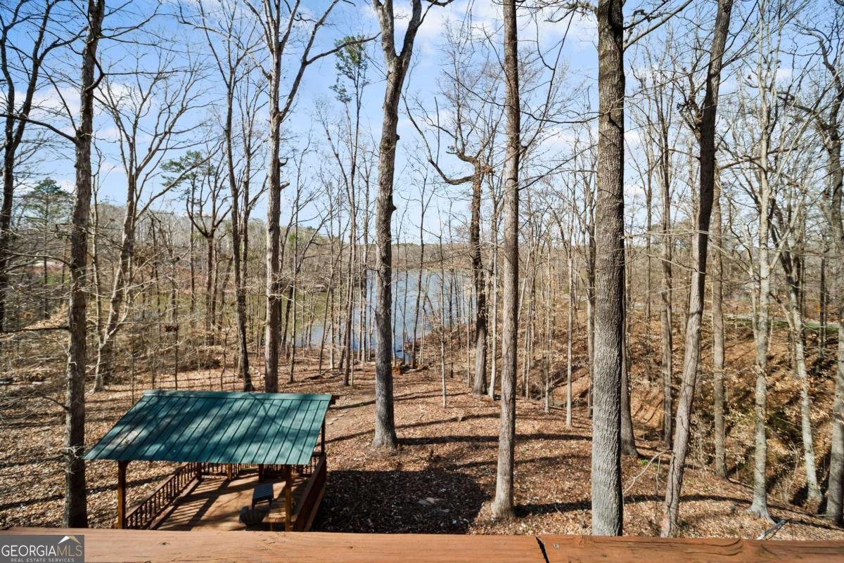 78 View Point Place Lavonia - 12