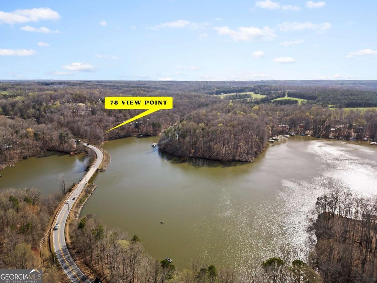 78 View Point Place Lavonia - 42