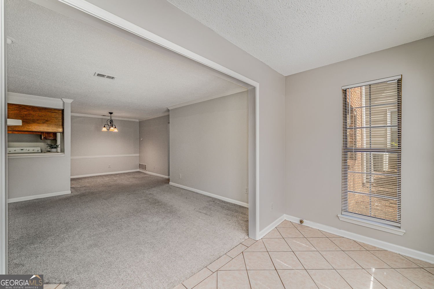 102 Barrington Hills Drive Atlanta - 10