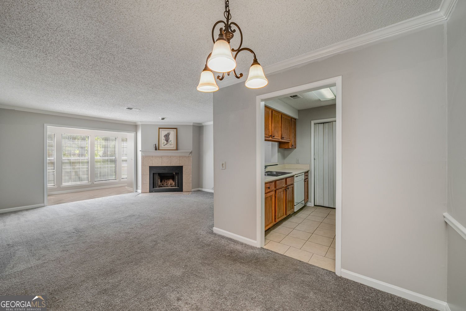 102 Barrington Hills Drive Atlanta - 13