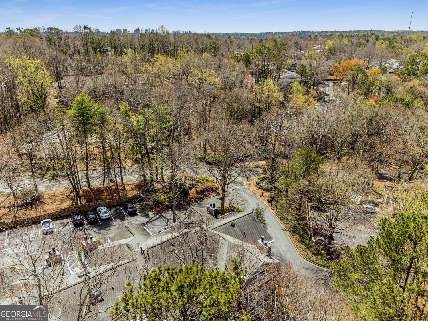 102 Barrington Hills Drive Atlanta - 29