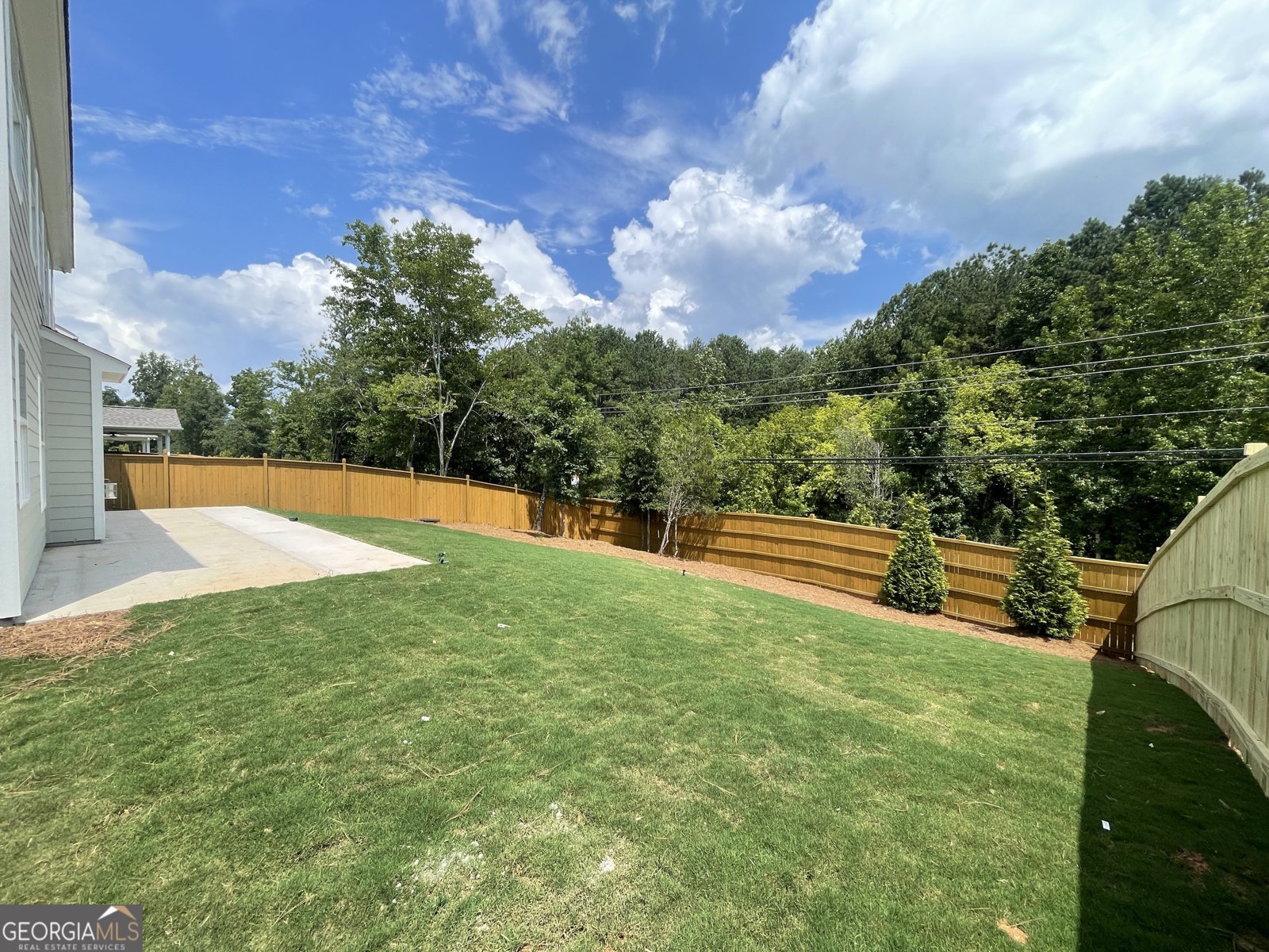 373 Conifer Lane Ball Ground - 1