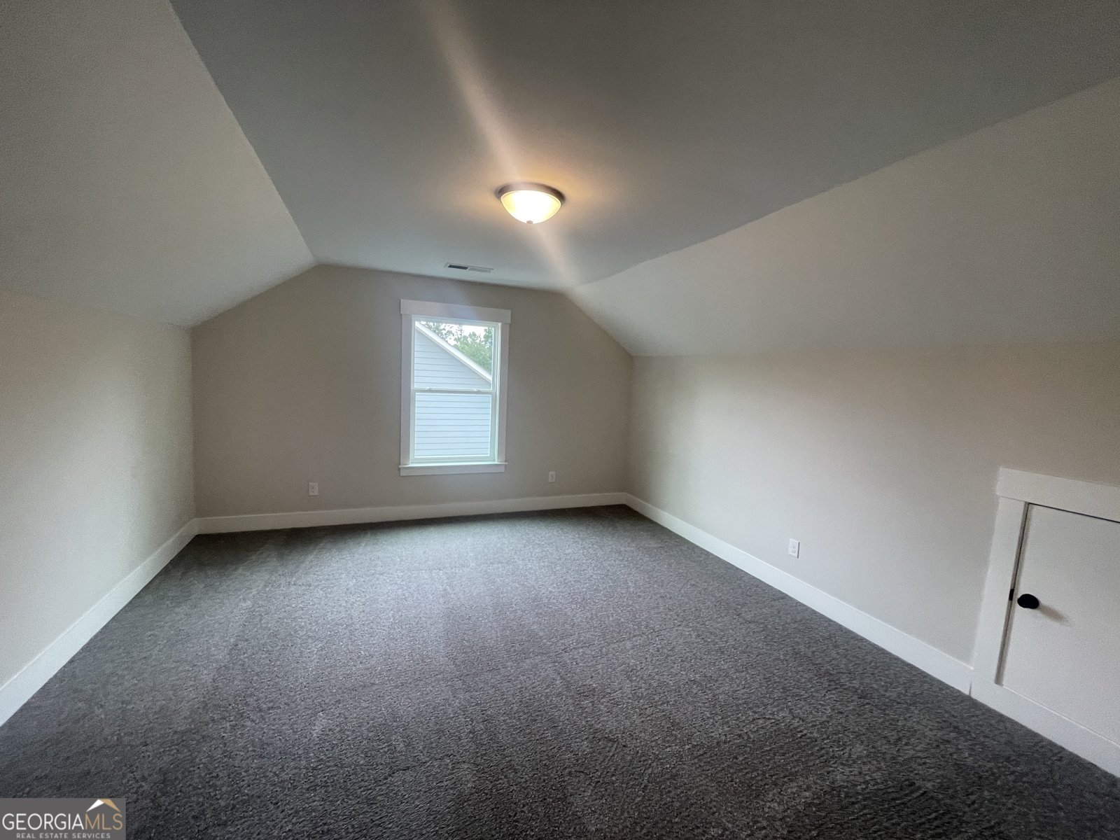 373 Conifer Lane Ball Ground - 13