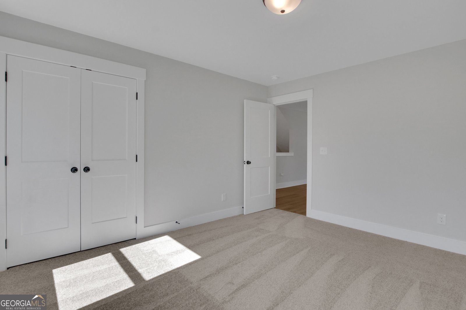 373 Conifer Lane Ball Ground - 28