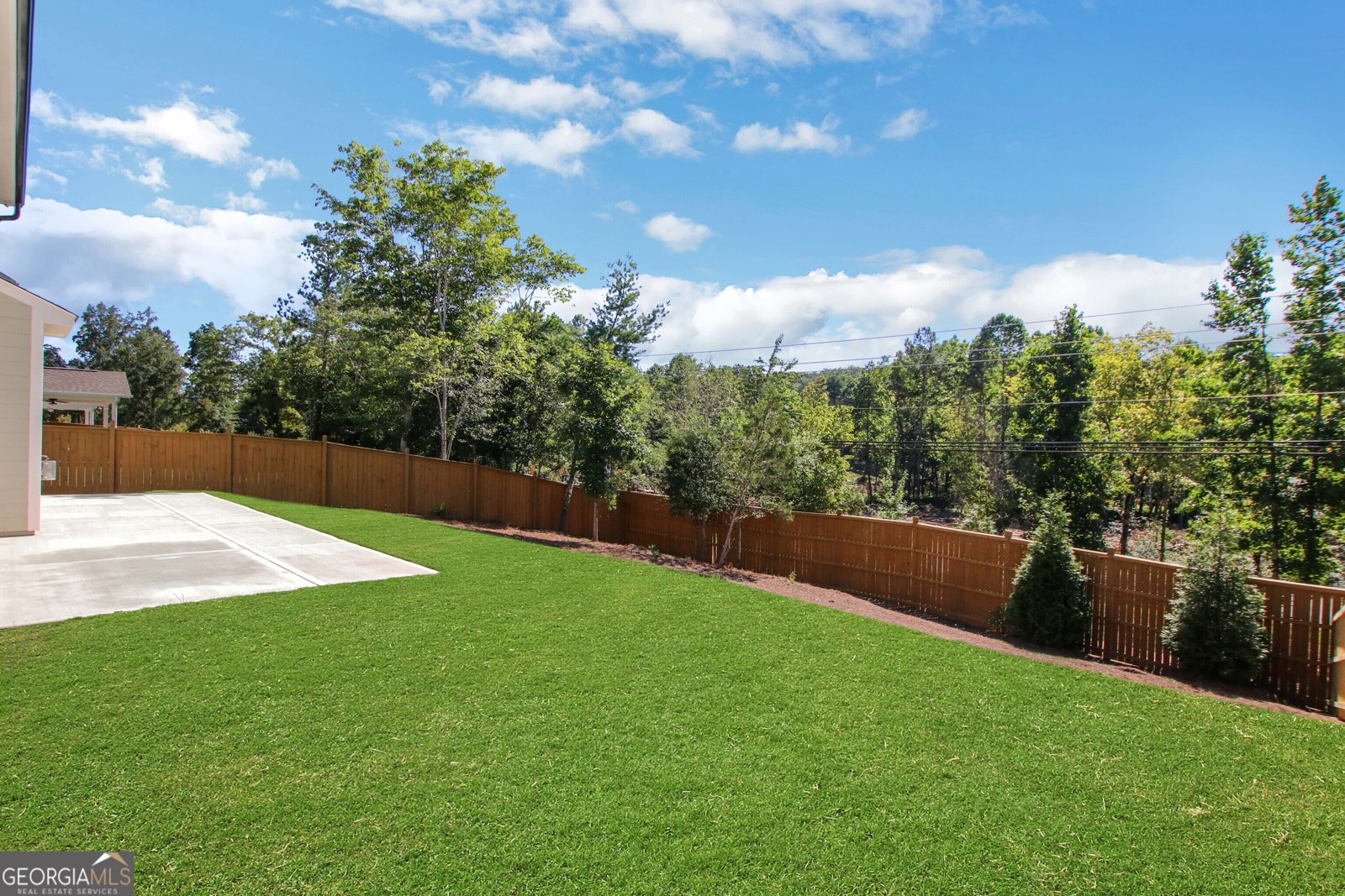 373 Conifer Lane Ball Ground - 38