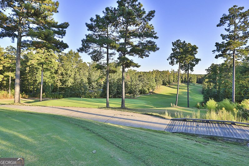 2 Forest Berry Court Newnan - 64