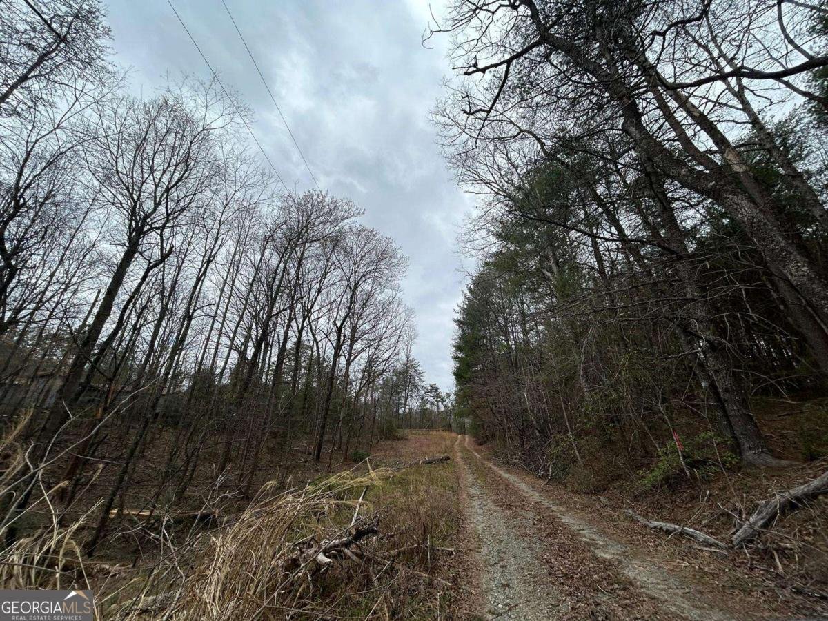 345 Southern Road Ellijay - 2