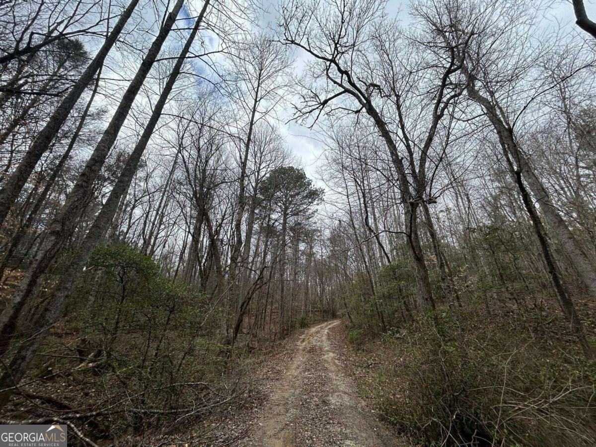 345 Southern Road Ellijay - 3