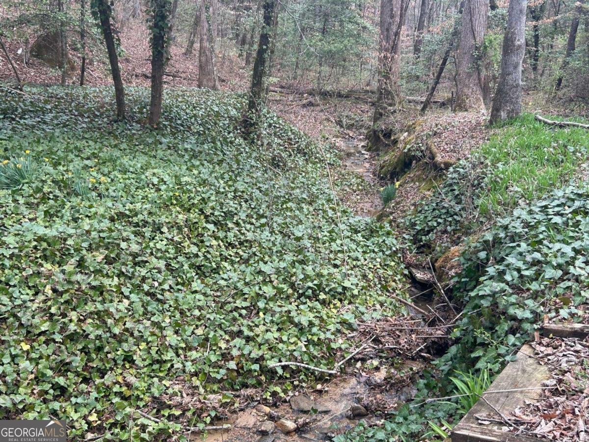 345 Southern Road Ellijay - 4