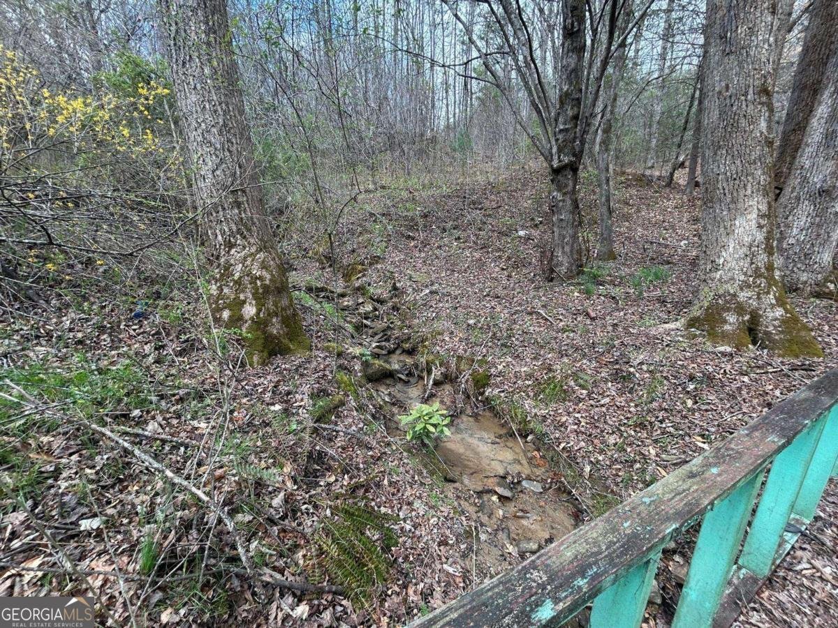 345 Southern Road Ellijay - 5