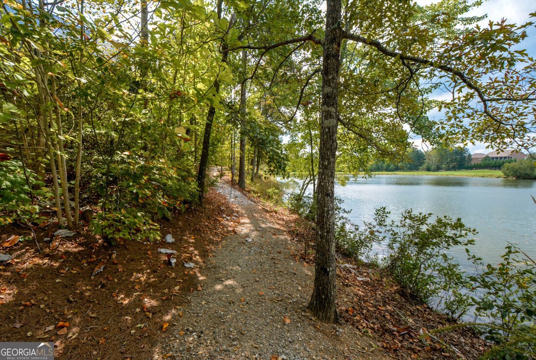 110 Mountain Laurel Court Canton - 140