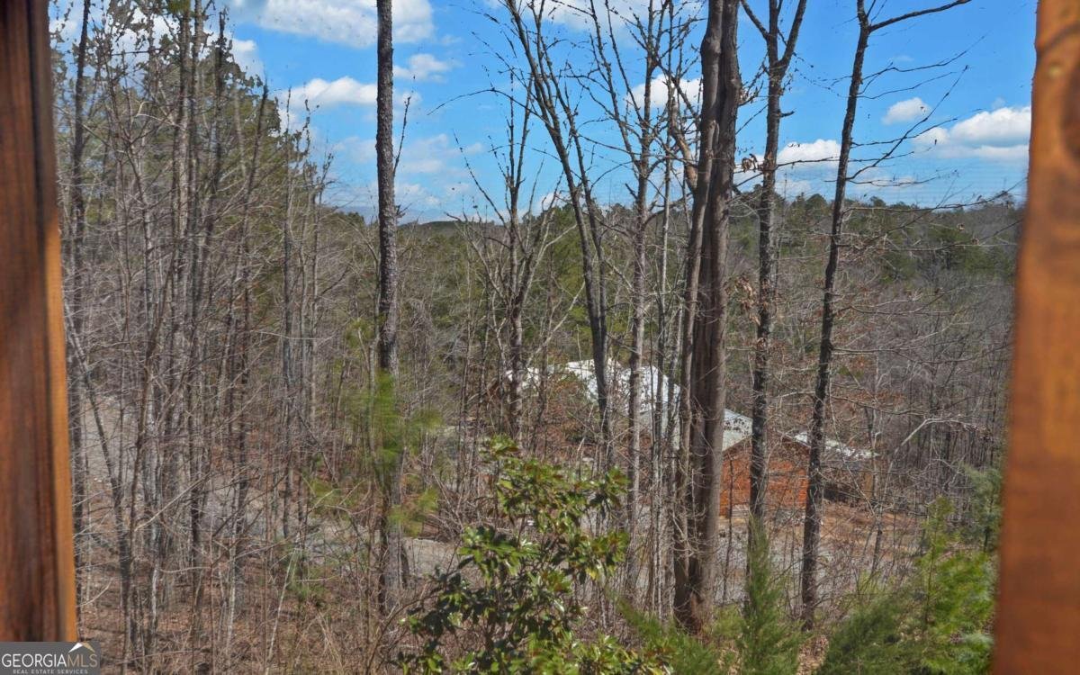 101 Hideaway Trail Copperhill - Photo 48