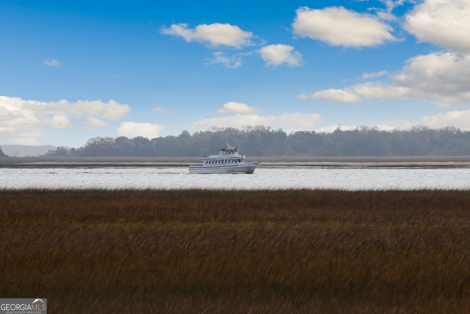 103 Spartina Court St. Marys - 47