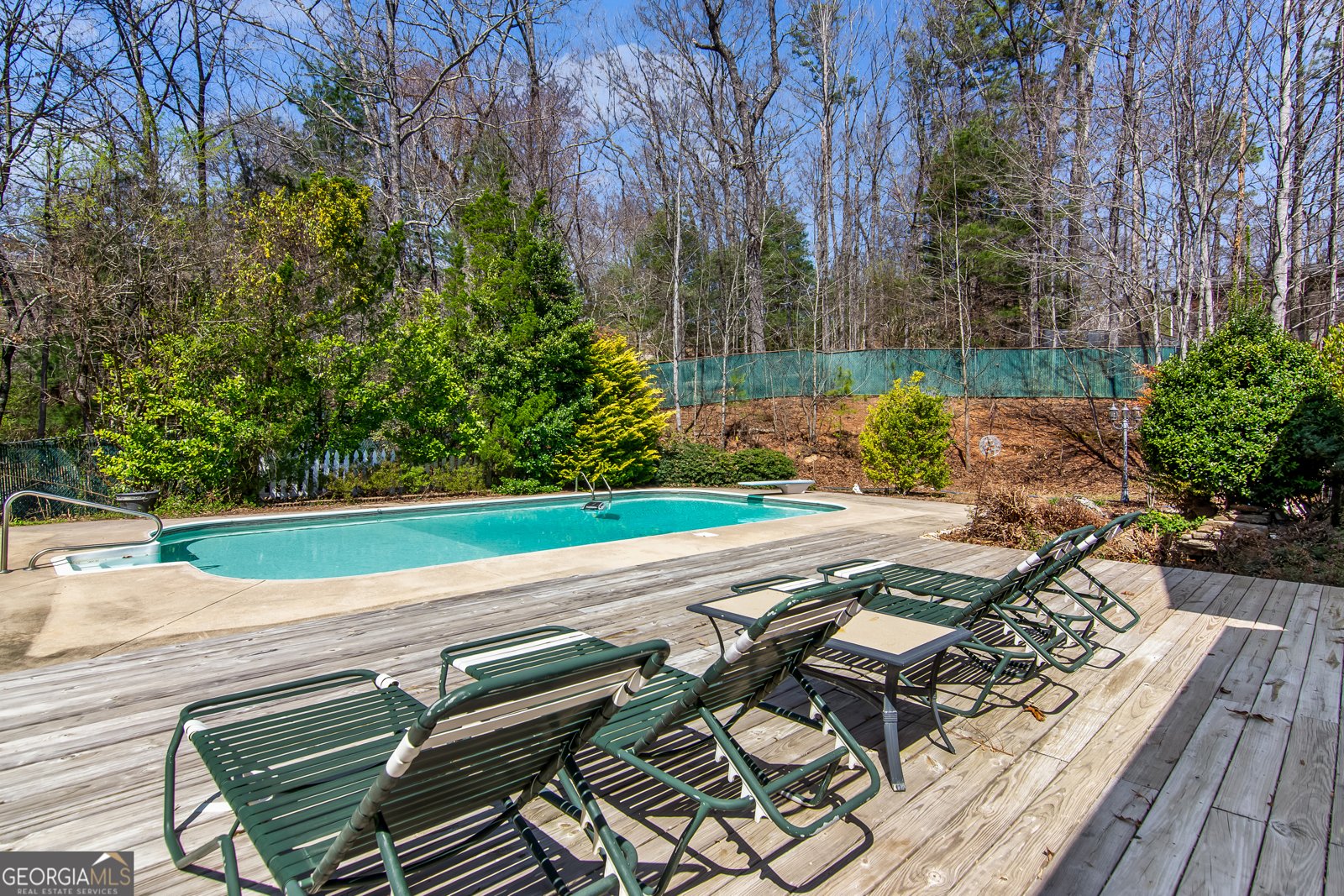 41 Thompson Court Ellijay - 52
