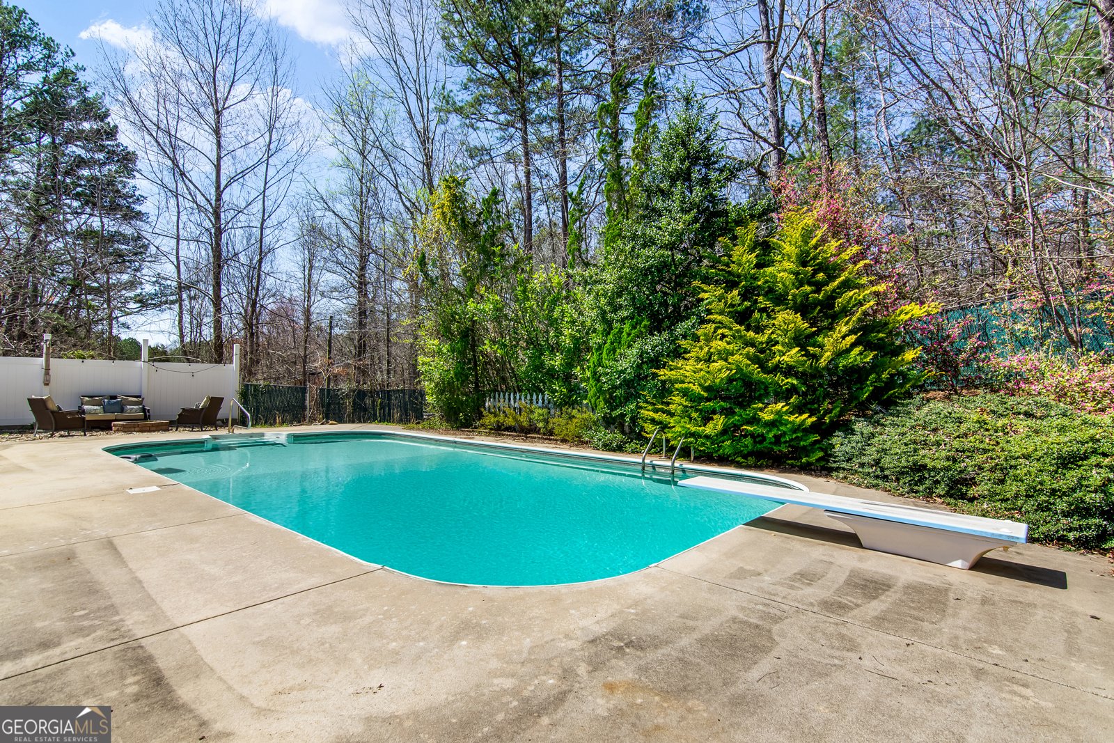 41 Thompson Court Ellijay - 7