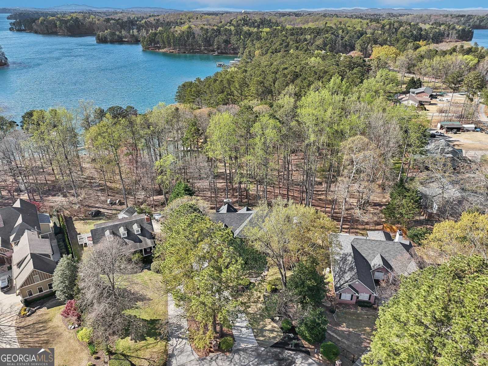 6030 Chimney Springs Road Buford - 4
